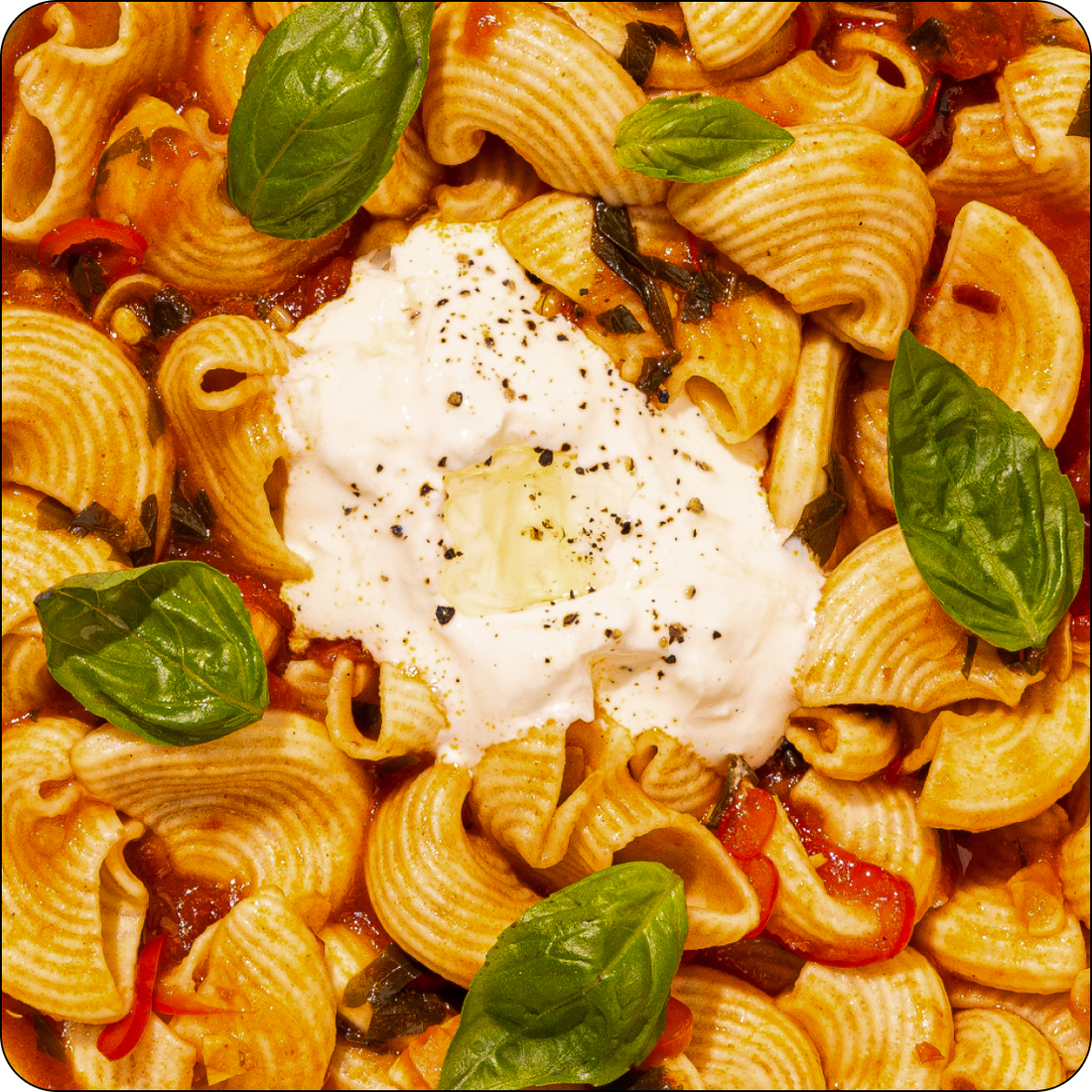 ARRABBIATA E BURRATA