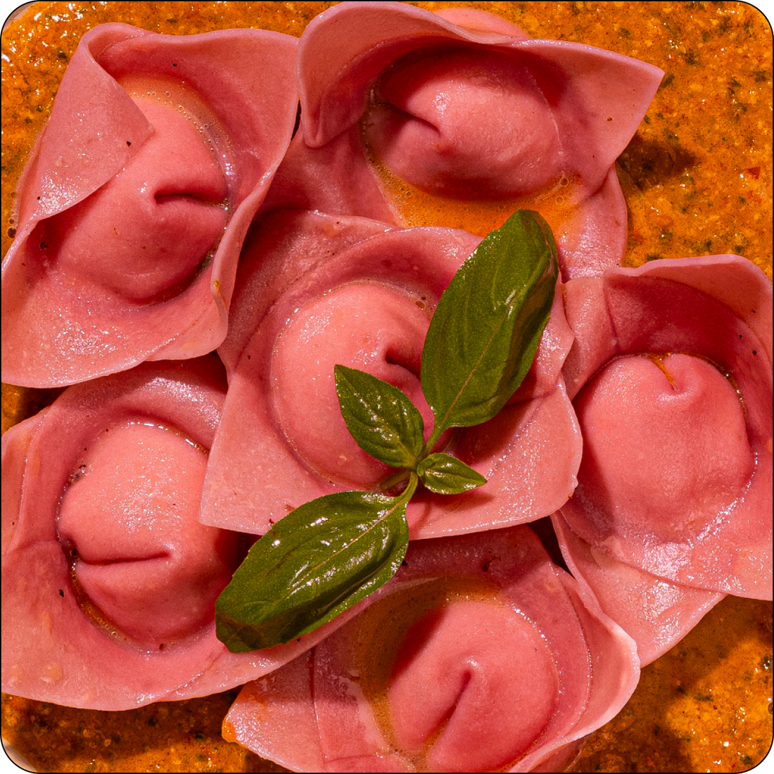 BEETROOT  CAPPELLETTI FIORI