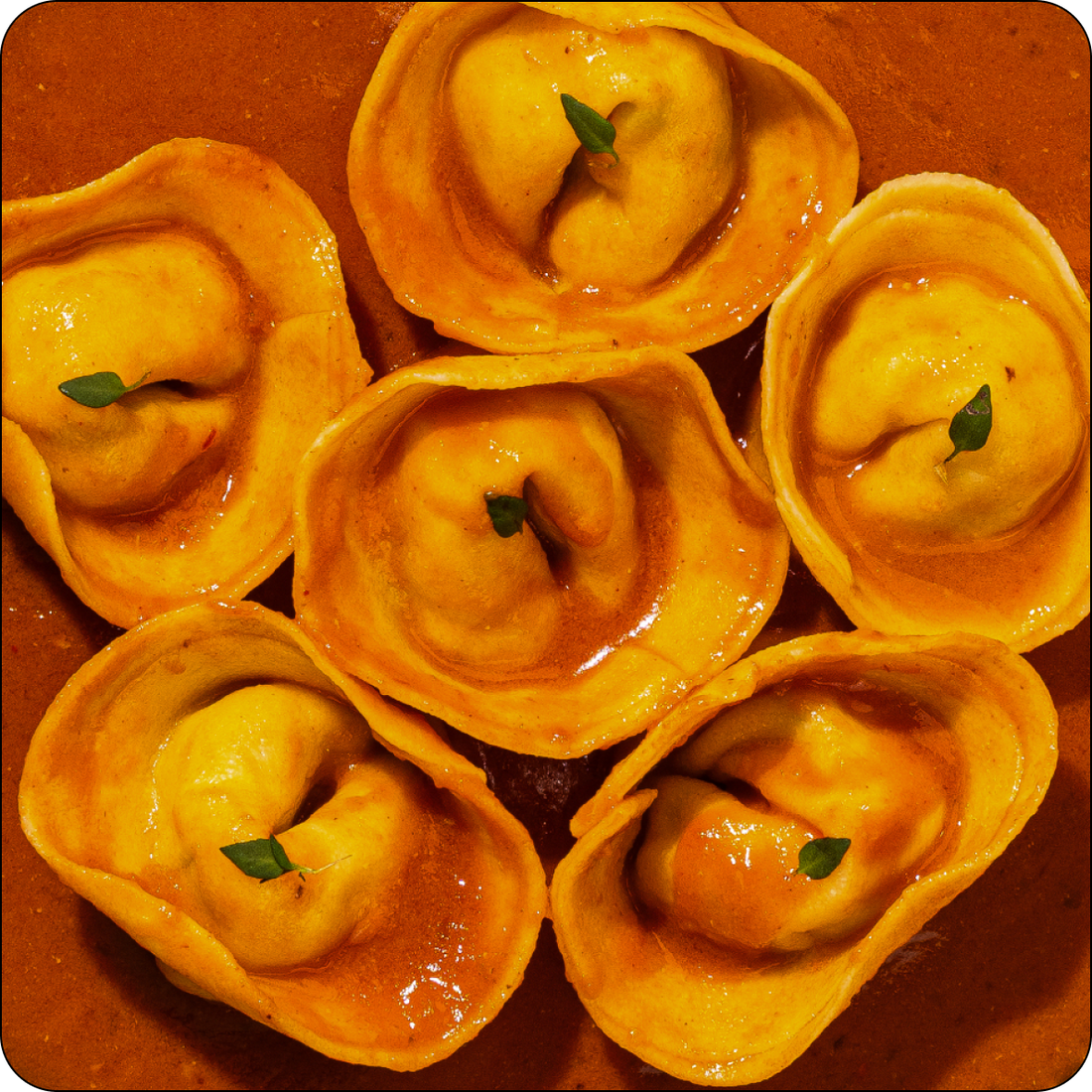 King Prawn Mascarpone  Cappeletti